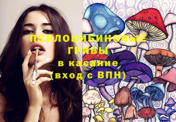 скорость Богданович