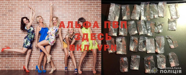 скорость Богданович