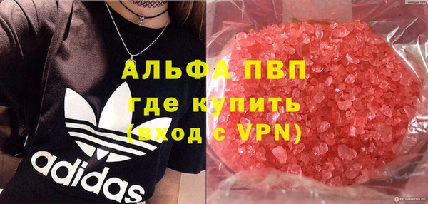 стафф Богородицк