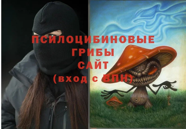 стафф Богородицк