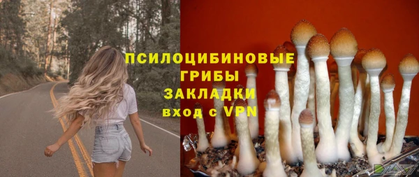 стафф Богородицк