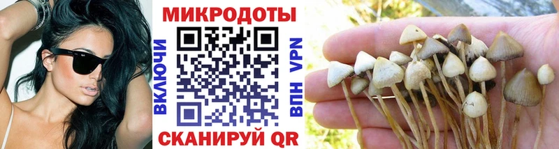 мега ТОР  Нелидово  Псилоцибиновые грибы Cubensis  продажа наркотиков 